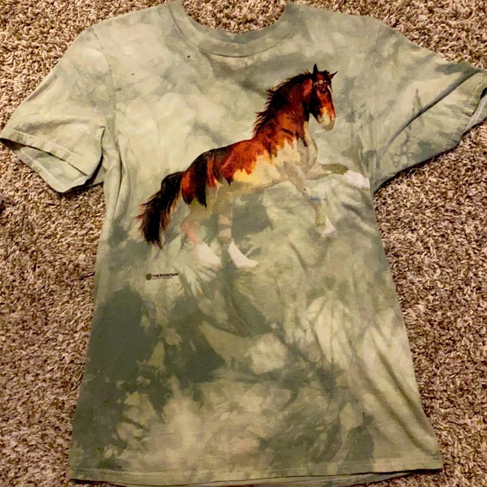 A the mountain shirt in good condition but has a blue stain